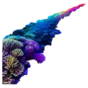 Coral Reef At Sunset PNG 46