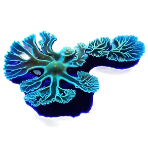 Coral Reef Bioluminescence PNG 05242024