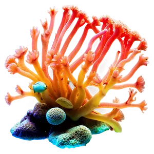 Coral Reef Bioluminescence PNG Kjs51