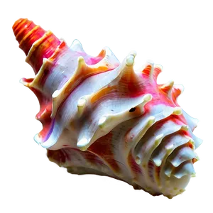 Coral Reef Conch Shell PNG Jyc PNG