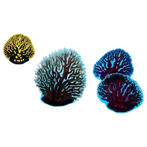 Coral Reef Ecosystem PNG Hwx