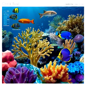 Coral Reef Educational Chart PNG 41 PNG