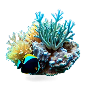 Coral Reef Snorkeling Adventure PNG 05242024