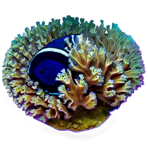 Coral Reef Under Threat PNG Log4 PNG