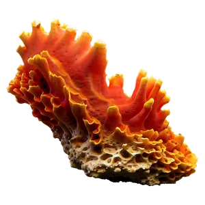 Coral Rocks Png Gfm70 PNG image