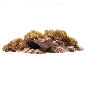 Coral Rocks Png Pie PNG image