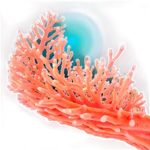 Coral Spawning Event PNG Keh56 PNG