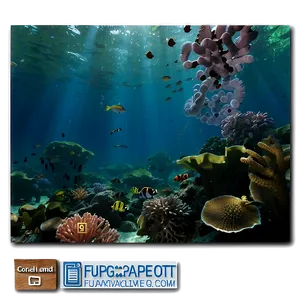 Coral Spawning Event PNG Khj66 PNG
