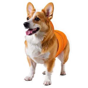 Corgi Halloween Costume Png 05212024 PNG image