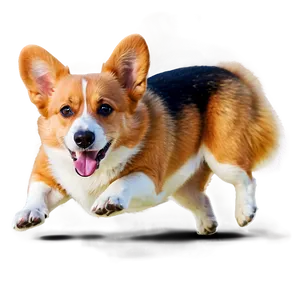 Corgi In Action PNG 05212024