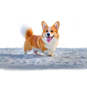 Corgi In Snow Png 05212024 PNG image