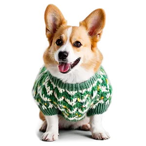 Corgi In Sweater Png Dxj56 PNG image