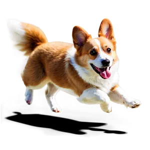Corgi Running PNG Eqg18