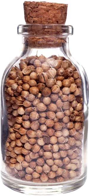 Coriander Seedsin Glass Jar PNG image