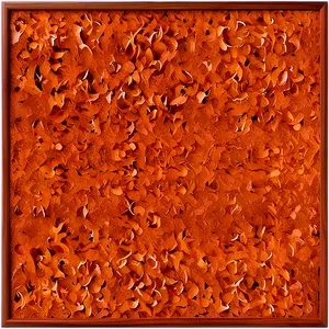 Corkboard For Classroom Decor PNG 06272024