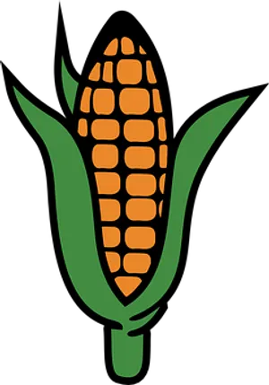 Corn Ear Vector Illustration PNG image