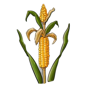 Corn Stalk With Corn PNG Kuq93