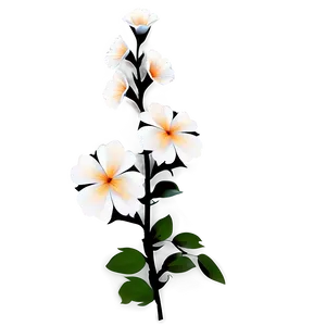 Corner Flower Silhouette PNG Afh53 PNG