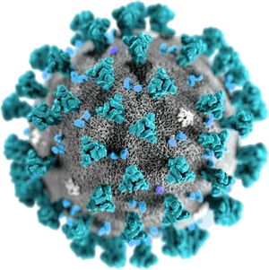 Coronavirus Closeup3 D Rendering PNG image