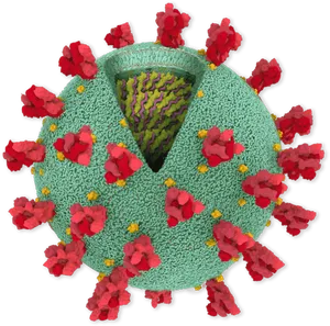 Coronavirus Structure Illustration PNG image