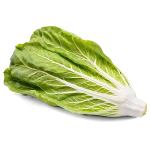 Cos Lettuce Png Enh PNG image