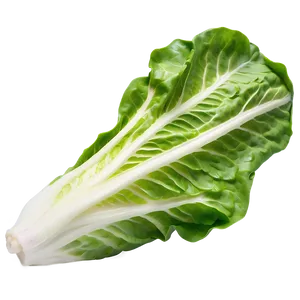 Cos Lettuce Png Saq PNG image