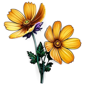 Cosmos Flower Sketch PNG 73 PNG