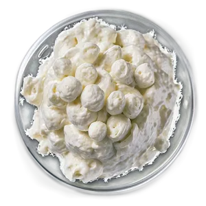 Cottage Cheese Delight PNG 06262024