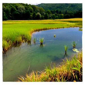 Country Pond Scenery Png Fys82 PNG image