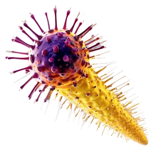 Covid 19 Virus Mutation Png 05262024 PNG image