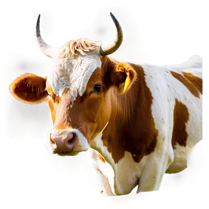 Cow Face Profile Png 06212024 PNG image