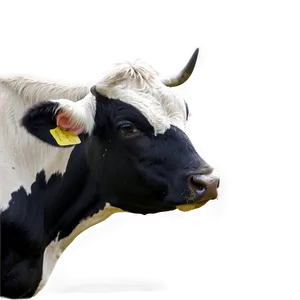 Cow Face Silhouette PNG 06212024