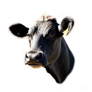 Cow Face Silhouette PNG 85 PNG