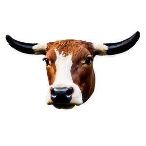 Cow Face With Bow PNG Rcx37 PNG
