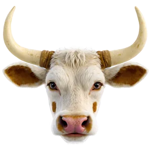 Cow Face With Horns PNG 26 PNG