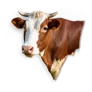 Cow Head Clipart Png 06212024 PNG image