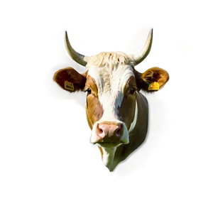 Cow Head On Green Background PNG Cys PNG