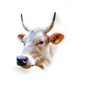 Cow Head Profile Png Wqb27 PNG image