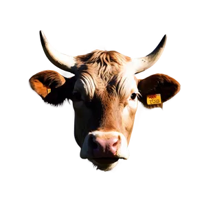 Cow Head Silhouette Clipart Png Lbx59 PNG image