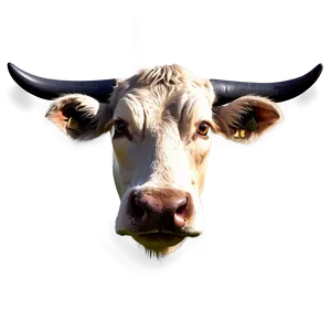 Cow Head Tattoo Design PNG 5 PNG