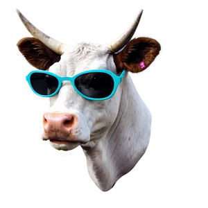 Cow Head With Sunglasses PNG Clh PNG