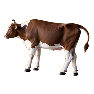 Cow Outline Png Wsg35 PNG image