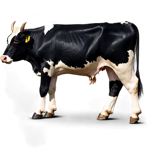 Cow Side View Png Gtn PNG image