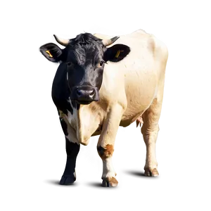 Cow Silhouette PNG 05032024
