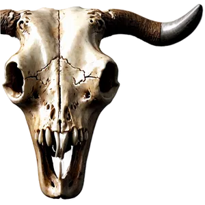 Cow Skull A PNG image