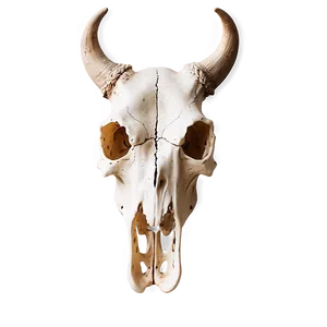 Cow Skull On Desert Background PNG 48 PNG