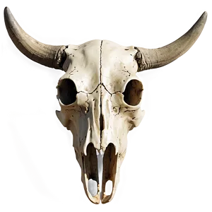 Cow Skull On Desert Background PNG Hsu PNG