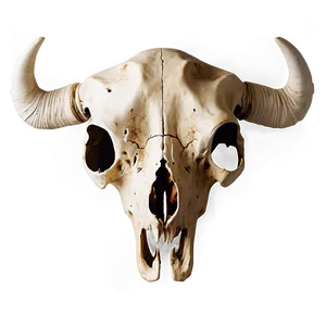 Cow Skull Silhouette Png Ucq70 PNG image