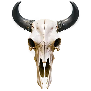 Cow Skull With Crossbones PNG Djr29 PNG