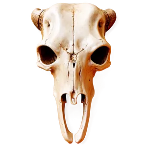 Cow Skull With Crossbones PNG Xrt12 PNG